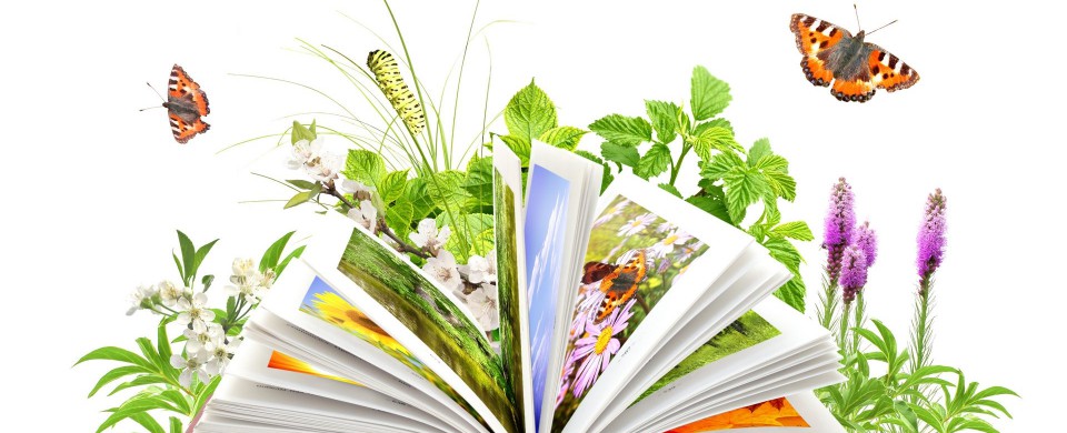 Экологически чистый ноутбук - Plantbook